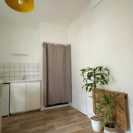 Cosy Coin - Proche Gare Et Jardin Des Plantes Appartement *